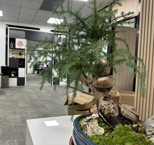 WordPress做企业网站，WordPress搭建企业网站思路