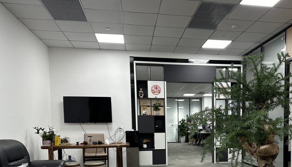 高端品牌网站设计方案