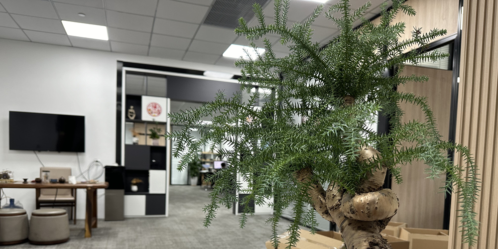 互联网网站建站要多久？建一个网站需要多长时间？