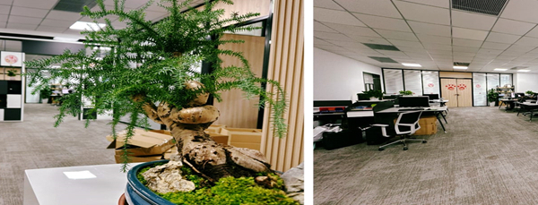 网站换服务器了怎么迁移，深圳维仆来帮你搞定